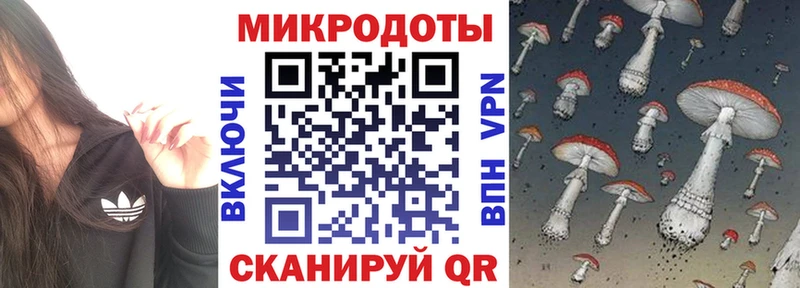 Галлюциногенные грибы Psilocybine cubensis  купить наркотик  Железноводск 