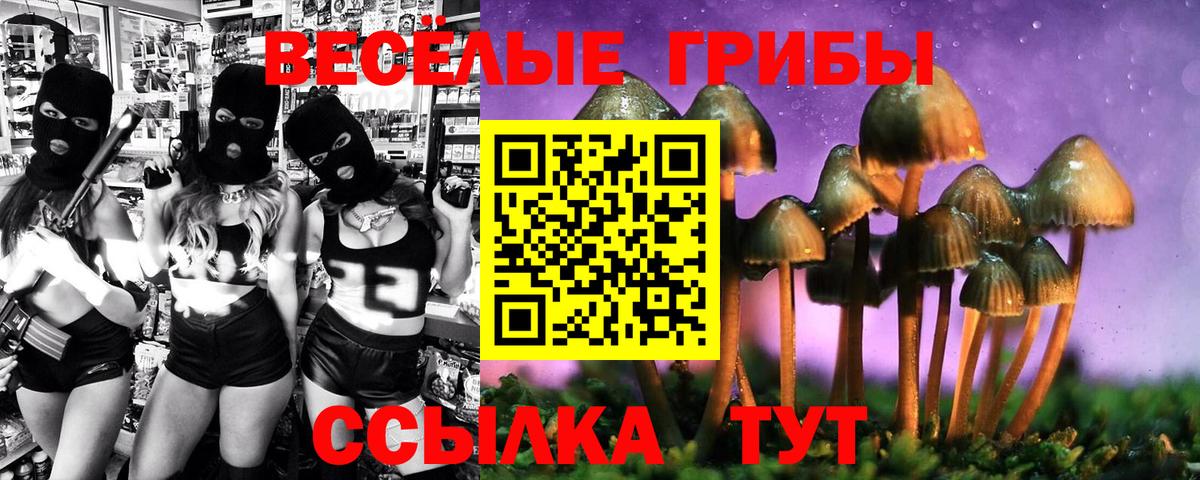 Железноводск  Галлюциногенные грибы Cubensis  Вход с VPN 