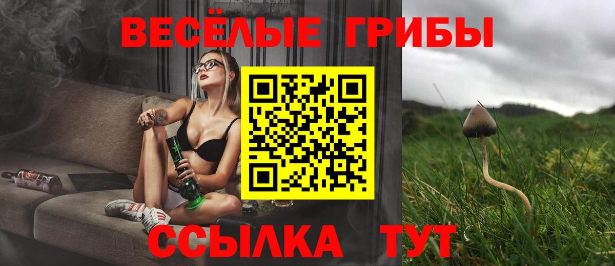 Галлюциногенные грибы ЛСД Железноводск